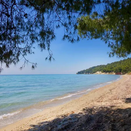 Viorelis Sea View